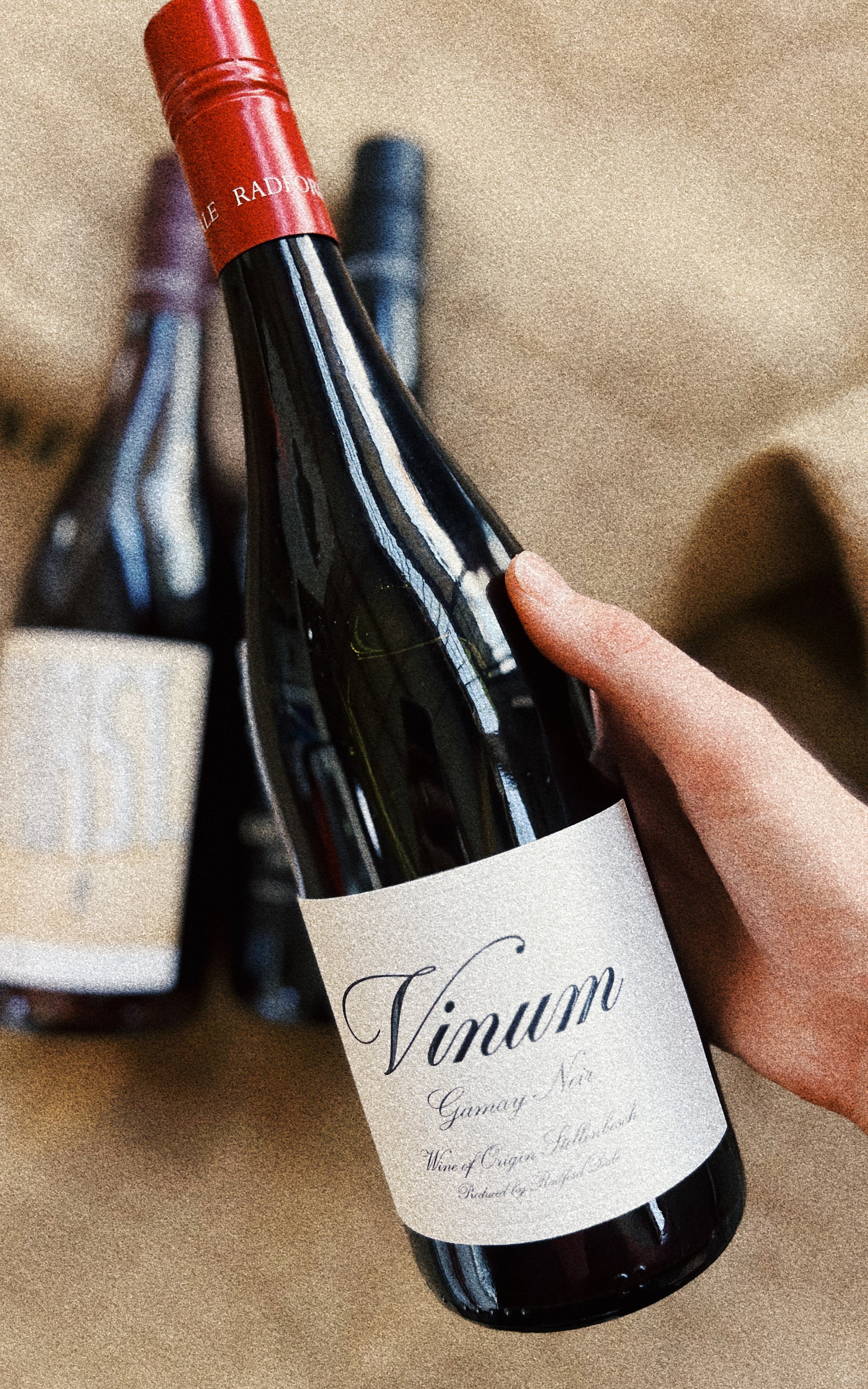 Vinum Gamay Noir '23