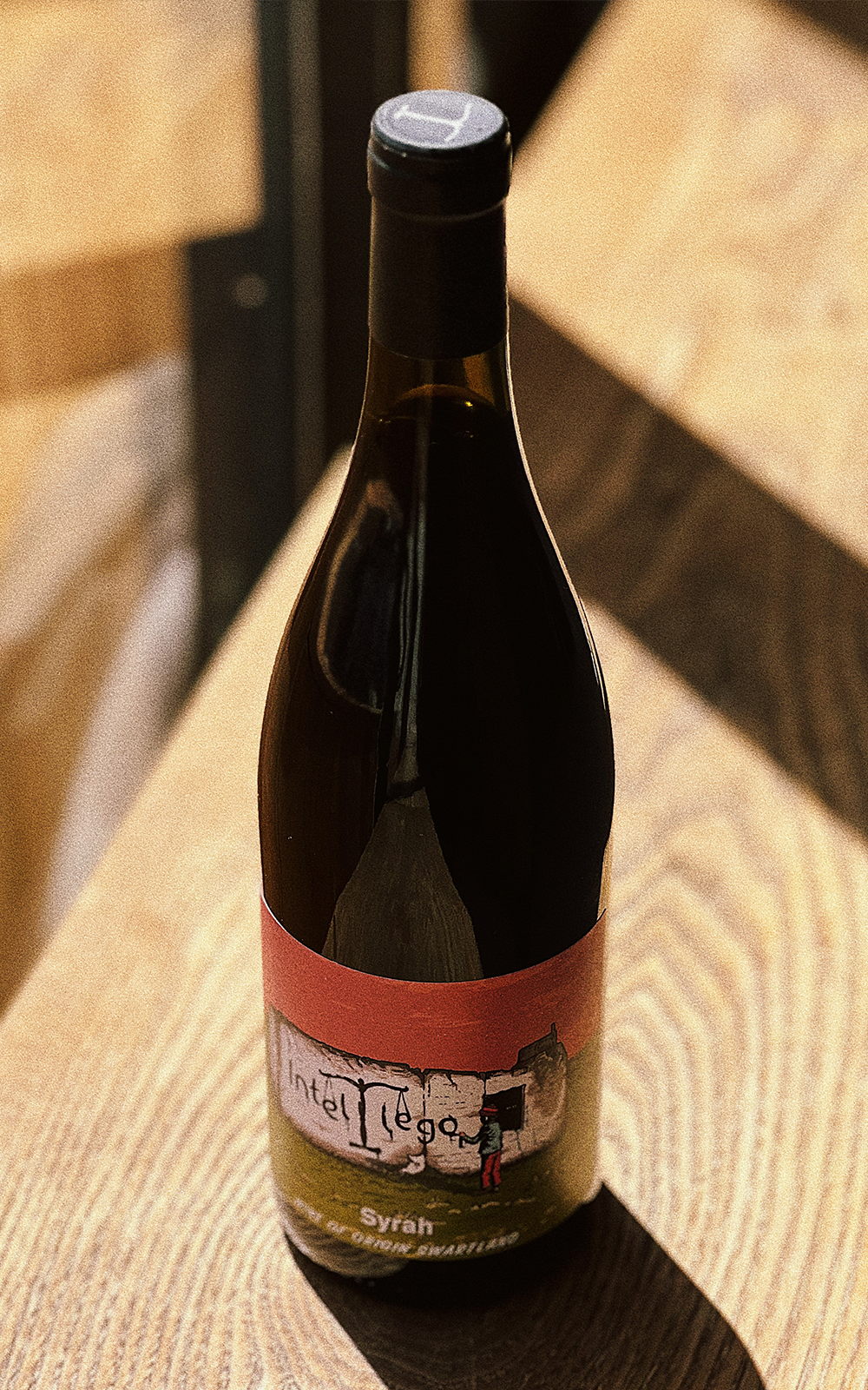 Intellego Syrah '22